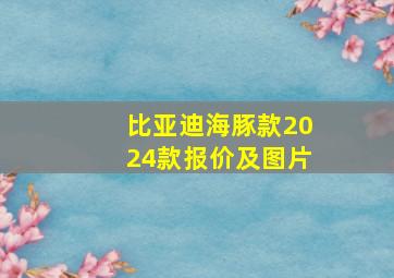 比亚迪海豚款2024款报价及图片