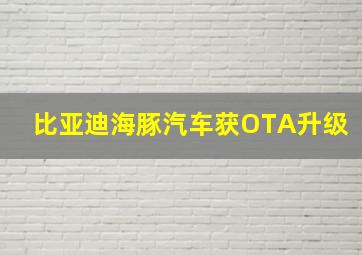 比亚迪海豚汽车获OTA升级