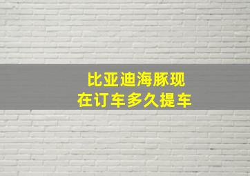 比亚迪海豚现在订车多久提车