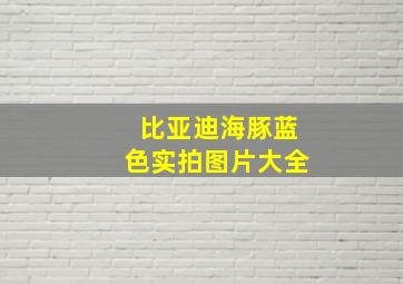 比亚迪海豚蓝色实拍图片大全