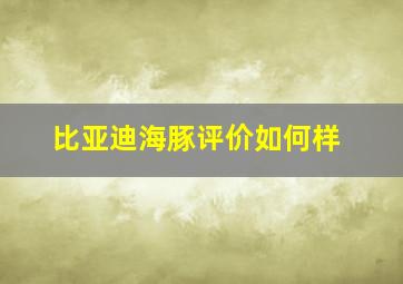 比亚迪海豚评价如何样