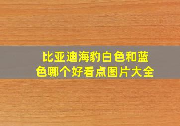 比亚迪海豹白色和蓝色哪个好看点图片大全