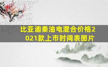 比亚迪秦油电混合价格2021款上市时间表图片