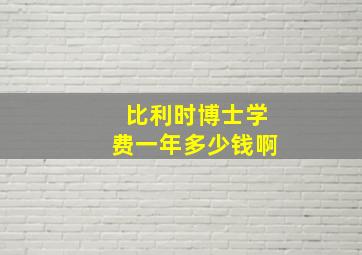 比利时博士学费一年多少钱啊