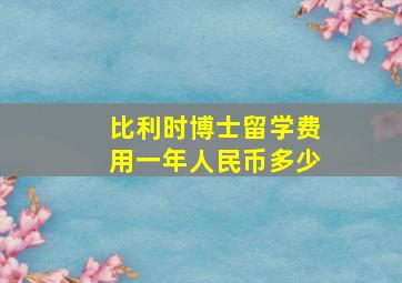 比利时博士留学费用一年人民币多少