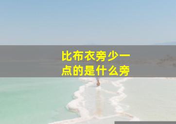 比布衣旁少一点的是什么旁