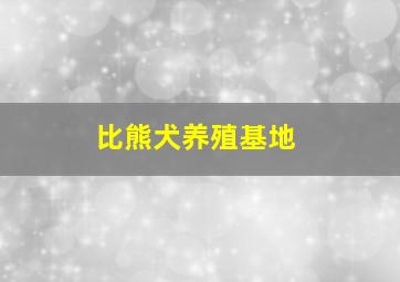 比熊犬养殖基地