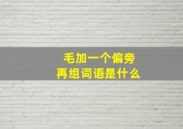 毛加一个偏旁再组词语是什么