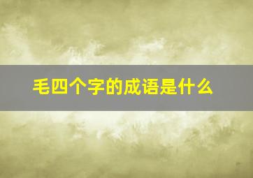 毛四个字的成语是什么