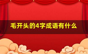 毛开头的4字成语有什么