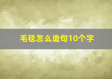 毛毯怎么造句10个字