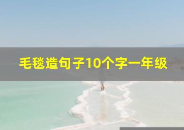 毛毯造句子10个字一年级