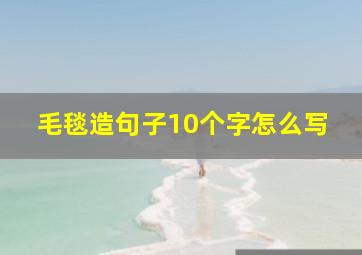 毛毯造句子10个字怎么写