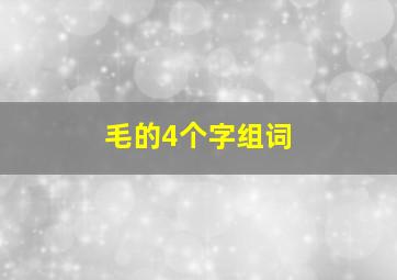 毛的4个字组词