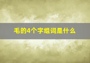 毛的4个字组词是什么