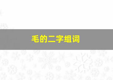 毛的二字组词