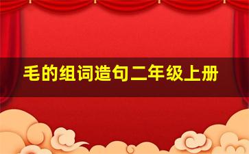 毛的组词造句二年级上册