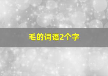 毛的词语2个字