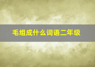 毛组成什么词语二年级