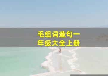 毛组词造句一年级大全上册