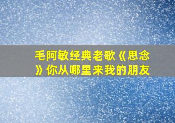 毛阿敏经典老歌《思念》你从哪里来我的朋友