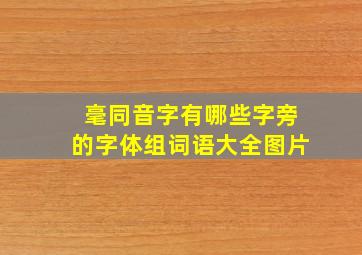 毫同音字有哪些字旁的字体组词语大全图片