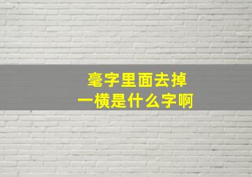 毫字里面去掉一横是什么字啊