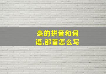 毫的拼音和词语,部首怎么写