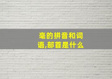 毫的拼音和词语,部首是什么