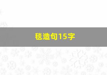 毯造句15字