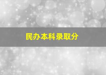 民办本科录取分