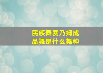 民族舞赛乃姆成品舞是什么舞种