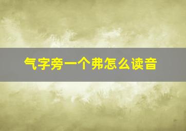 气字旁一个弗怎么读音