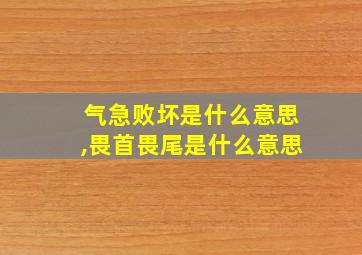 气急败坏是什么意思,畏首畏尾是什么意思