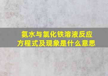 氨水与氯化铁溶液反应方程式及现象是什么意思