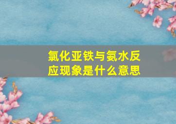 氯化亚铁与氨水反应现象是什么意思