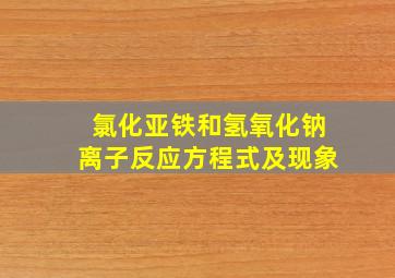 氯化亚铁和氢氧化钠离子反应方程式及现象