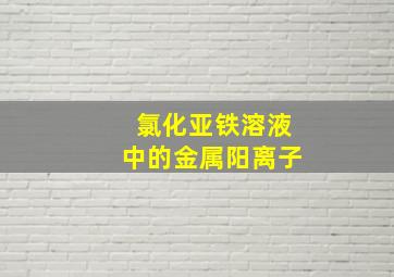 氯化亚铁溶液中的金属阳离子