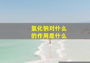 氯化钠对什么的作用是什么