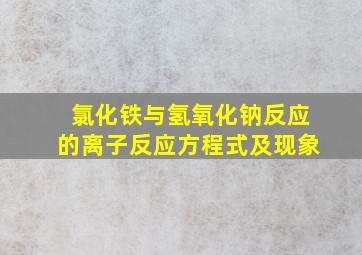 氯化铁与氢氧化钠反应的离子反应方程式及现象