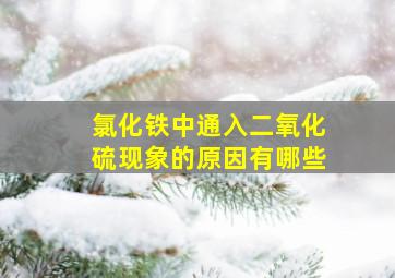 氯化铁中通入二氧化硫现象的原因有哪些