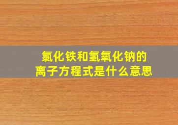 氯化铁和氢氧化钠的离子方程式是什么意思