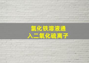 氯化铁溶液通入二氧化硫离子