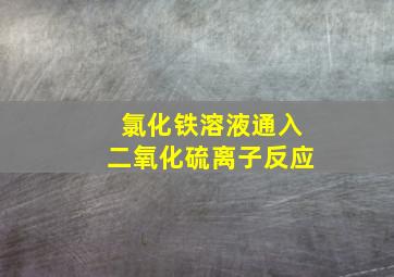 氯化铁溶液通入二氧化硫离子反应