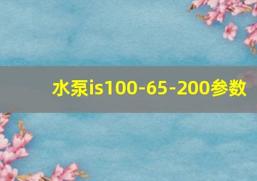 水泵is100-65-200参数