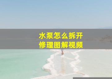 水泵怎么拆开修理图解视频