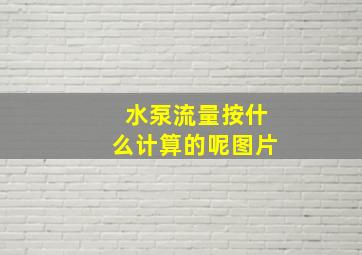 水泵流量按什么计算的呢图片