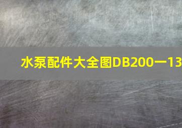 水泵配件大全图DB200一13