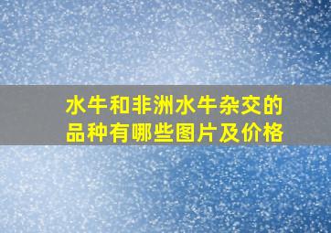 水牛和非洲水牛杂交的品种有哪些图片及价格