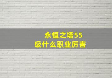 永恒之塔55级什么职业厉害